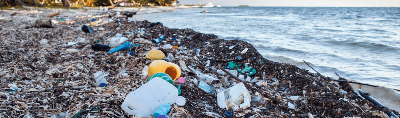 Garbage From All Around The World Set to Clog Our Oceans