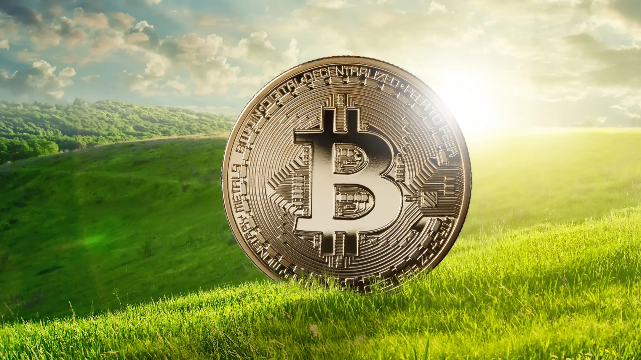 Bitcoin and the Environment: A Q&A with Vijay Boyapati