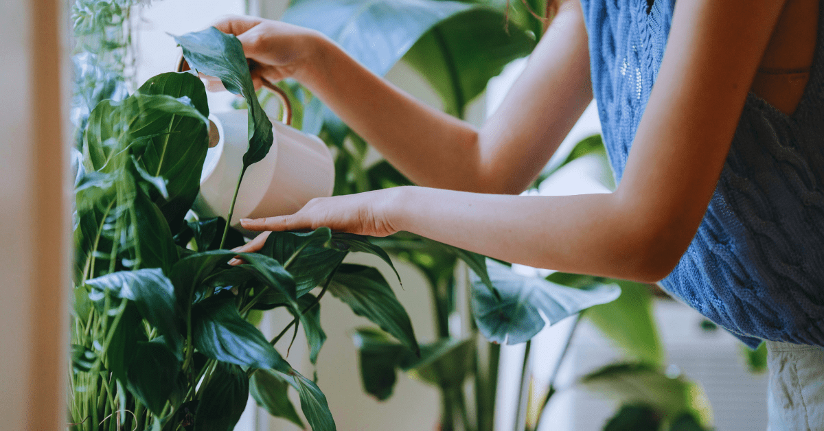 Sustainable Living at Home: Practical Steps for Homeowners